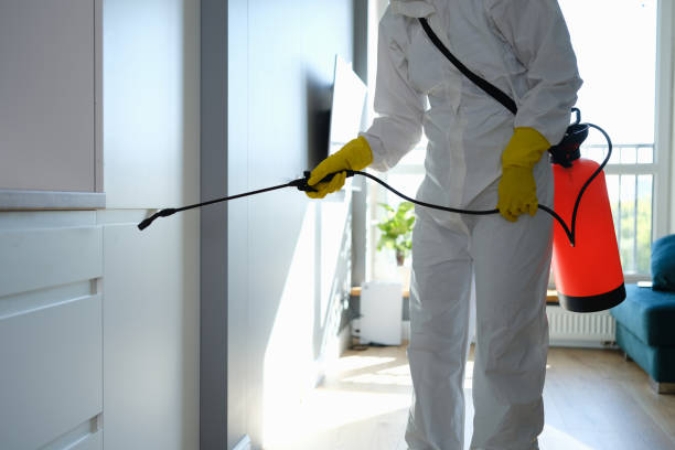 Mold Removal Process in Defiance, OH